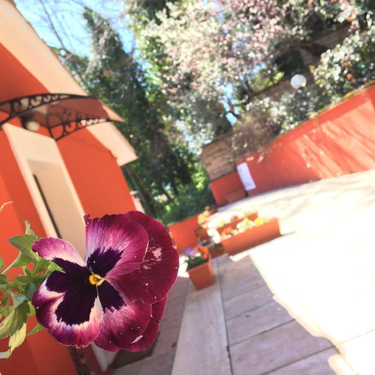 B&B Il Giardino Delle Camelie Palestrina Exteriör bild