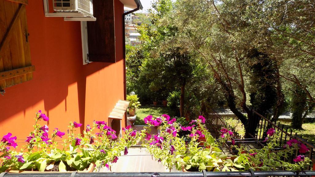 B&B Il Giardino Delle Camelie Palestrina Exteriör bild