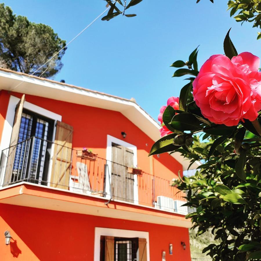 B&B Il Giardino Delle Camelie Palestrina Exteriör bild